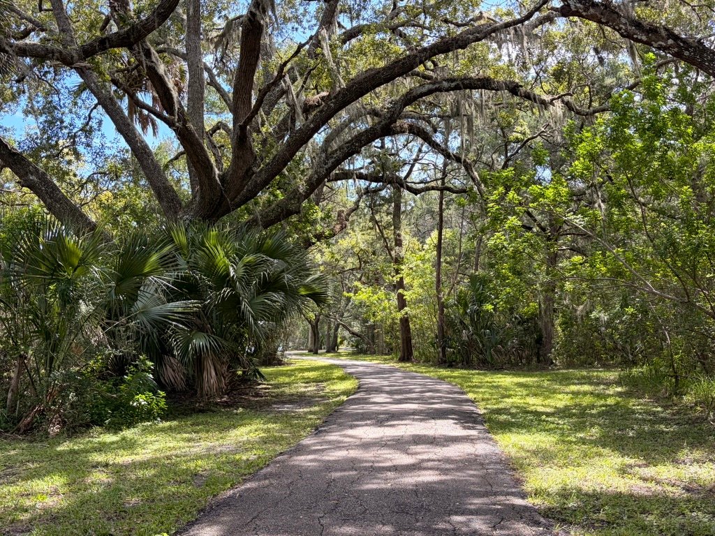 St Joe Walkway Palm Coast
